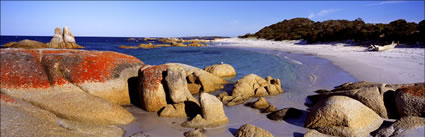 Bay of Fires Rocks - TAS (PB00 5465)