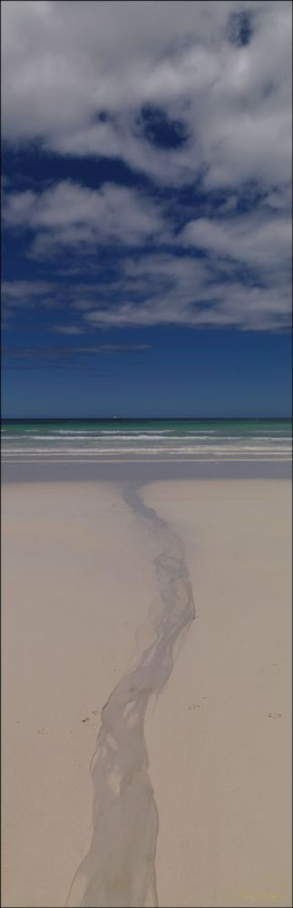 Beach - Dongara - WA (PBH3 00 4715)