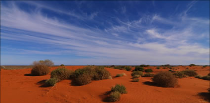 Beltana Station - SA T (PBH3 00 22057)