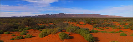 Beltana Station - SA (PBH3 00 22082)