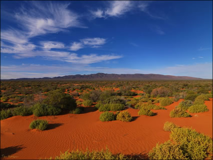 Beltana Station - SA SQ (PBH3 00 22084)