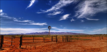 Beltana Station - SA T (PBH3 00 22049)