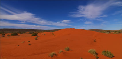 Beltana Station - SA T (PBH3 00 22059)