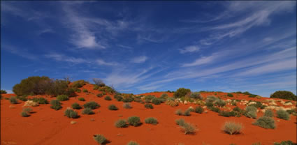 Beltana Station - SA T (PBH3 00 22068)