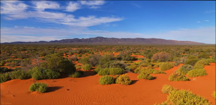 Beltana Station - SA T (PBH3 00 22083)