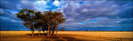 Ben Halls  Last Camp - Bogen Gate NSW (PB 001788)