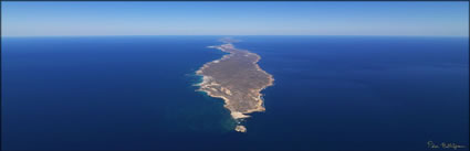 Bernier Island - WA H (PBH3 00 7831)