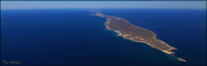 Bernier Island - WA (PBH3 00 7828)