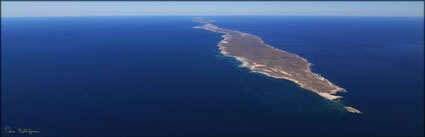 Bernier Island - WA (PBH3 00 7829)