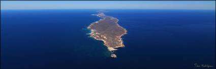 Bernier Island - WA (PBH3 00 7830)