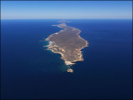 Bernier Island - WA SQ  (PBH3 00 7831)