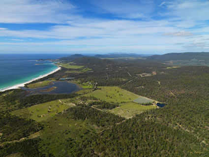 Bicheno Area - TAS (PBH3 00 1059)
