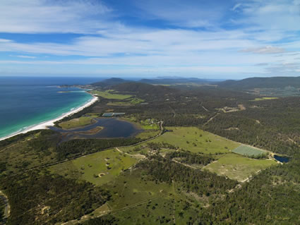 Bicheno Area - TAS (PBH3 00 1060)