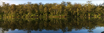 Big Brook Dam - WA (PBH3 00 4535)