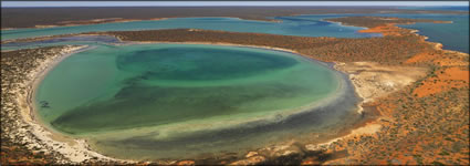 Big Lagoon - Shark Bay - WA (PBH3 00 7870)