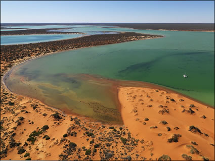 Big Lagoon - Shark Bay - WA (PBH3 00 7872)
