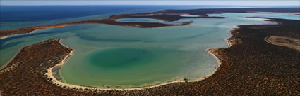 Big Lagoon - Shark Bay - WA (PBH3 00 7881)