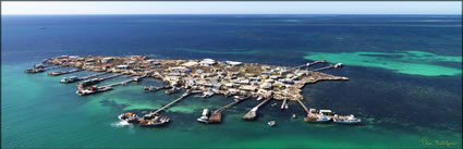 Big Pigeon Island - Abrolhos Islands - WA H (PBH3 00 7459)