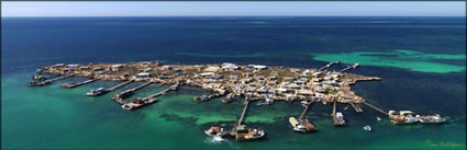 Big Pigeon Island - Abrolhos Islands - WA (PBH3 00 7458)