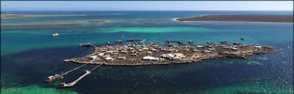 Big Pigeon Island - Abrolhos Islands - WA (PBH3 00 7463)