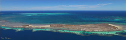Big Rat, Little Rat - Abrolhos Islands - WA (PBH3 00 4780)