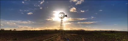 Black Oak Bore Windmill - SA (PBH3 00 19686)