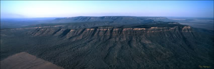 Blackdown Tablelands NP - QLD (PB00 4734)