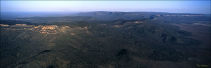 Blackdown Tablelands NP - QLD (PB00 4736)