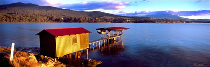 Boat Shed at Snug - TAS (PB00 4401)