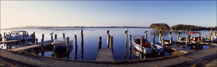 Boats and Pelicans - Tuncurry - NSW (PB00 2159)
