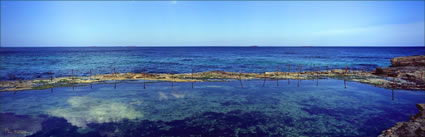 Bogie Hole - Newcastle - NSW (PB00 6069)