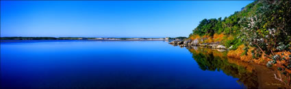 Bongil Bongil NP - Sawtell - NSW (PB00 3112)