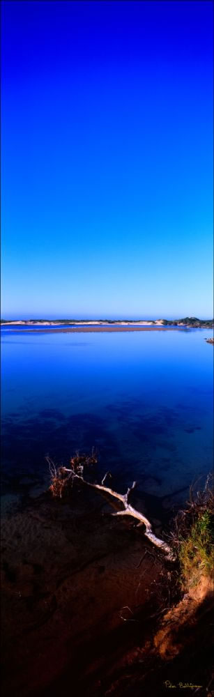 Bongil Bongil Vertical - Sawtell - NSW (PB003114)