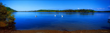 Bonville Creek 3 - Sawtell - NSW (PB003098)