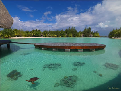 Bora Bora (PBH3 00 1834)