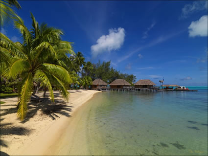 Bora Bora SQ (PBH3 00 1669)