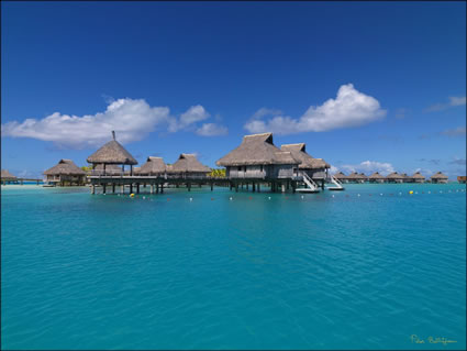 Bora Bora SQ (PBH3 00 2003)