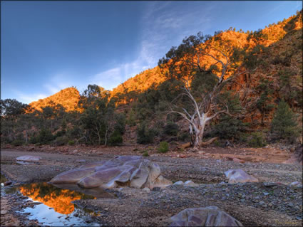 Brachina Gorge - SA SQ (PBH3 00 22133)