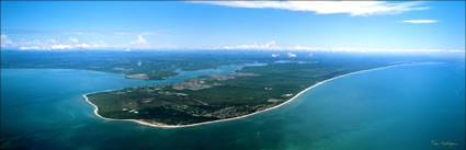 Bribie Island - QLD (PB00 2874)