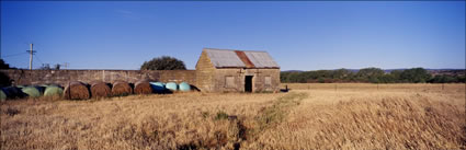 Broken Dreams - Ross - TAS (PB00 5181)