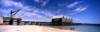 Busselton Jetty Close - WA (PB00 4185)