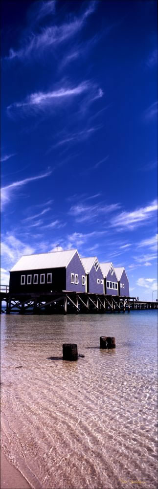 Busselton Jetty Vertical -  WA (PB00 4186)