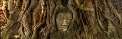 Buddha Head H (PBH3 00 14343)