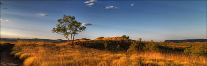 Bungle Bungles - WA (PBH3 00 11887)