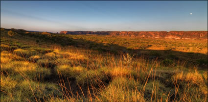 Bungle Bungles - WA T (PBH3 00 11890)