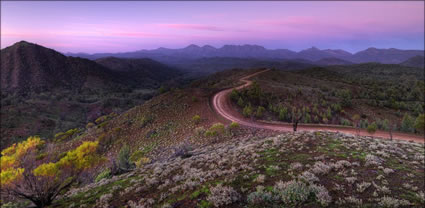 Bunyeroo Valley - SA (PBH3 00 19719)