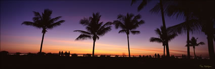 Cable Beach Sunset - Broome - WA (PB00 4454)