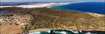 Cactus Beach - SA (PBH3 00 28786)