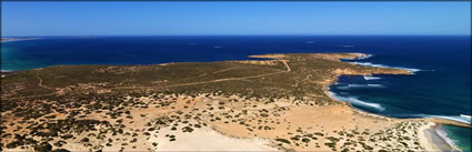 Cactus Beach - SA (PBH3 00 28788)