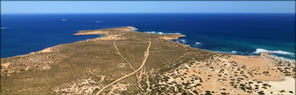 Cactus Beach - SA (PBH3 00 28789)
